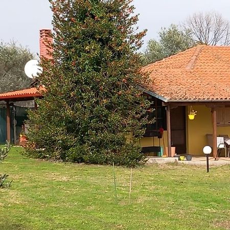 Olympos House Villa Litochoro Exterior foto